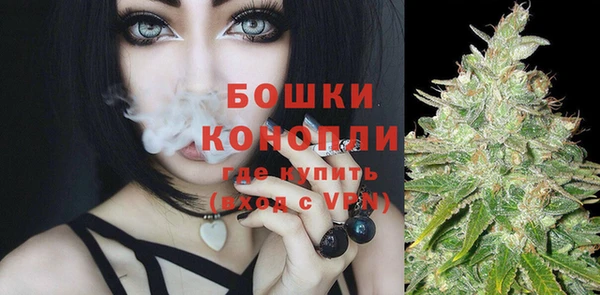 ГАЛЛЮЦИНОГЕННЫЕ ГРИБЫ Беломорск