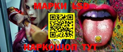 СК Абакан