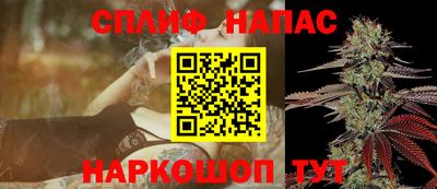 СК Абакан