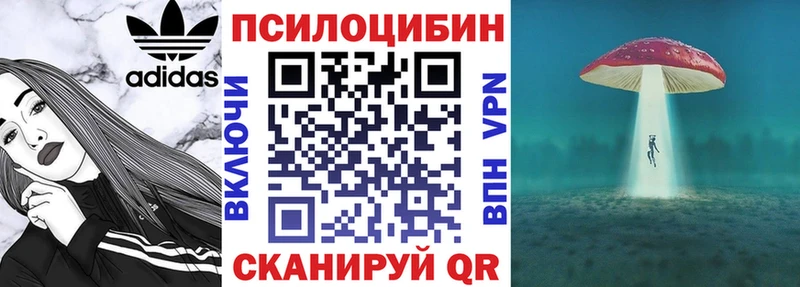 Купить Амурск Псилоцибиновые грибы Cubensis